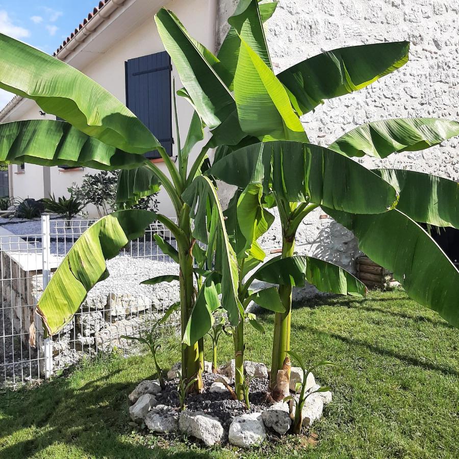 Le Domaine Vesque Villa Saint-Pierre-de-Clairac Екстериор снимка