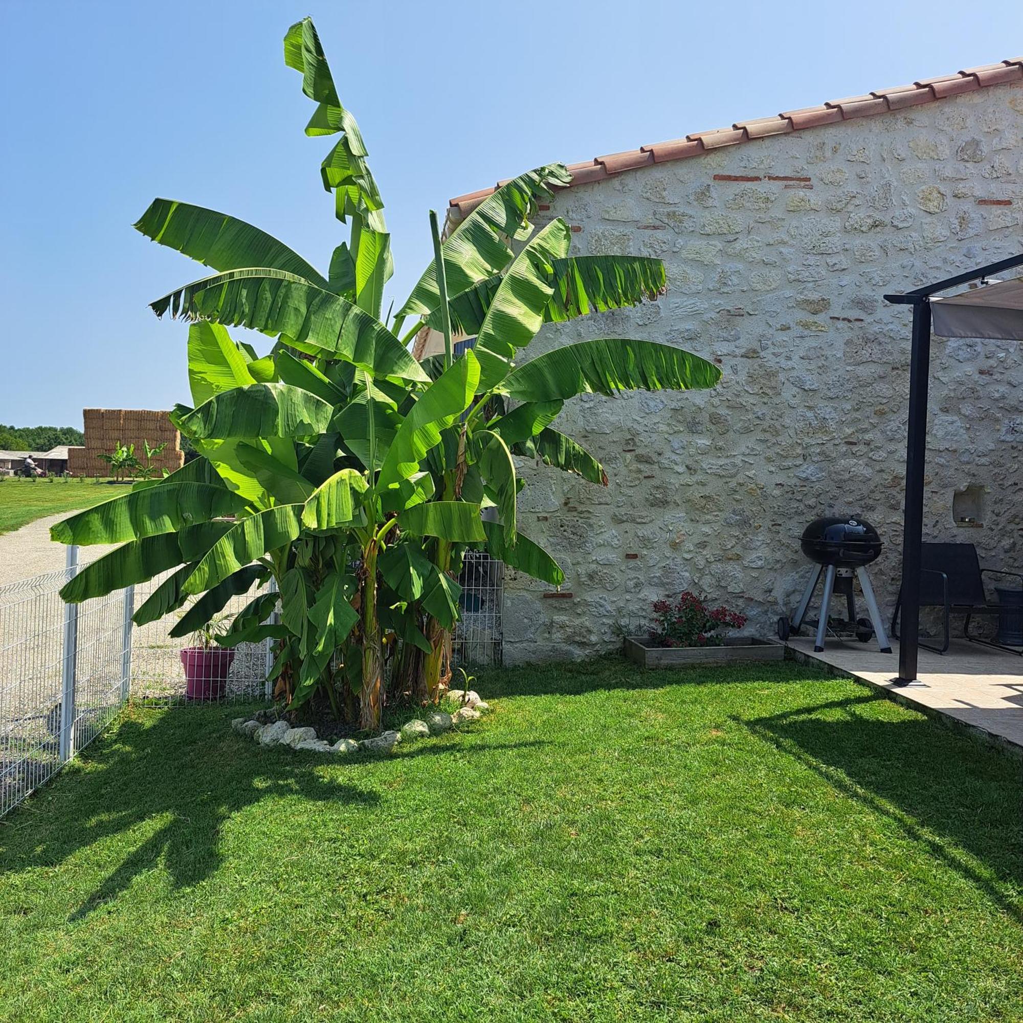 Le Domaine Vesque Villa Saint-Pierre-de-Clairac Екстериор снимка